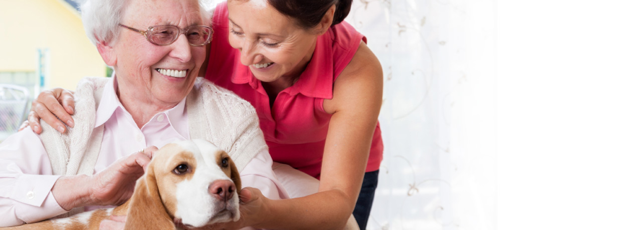 elderly care home health